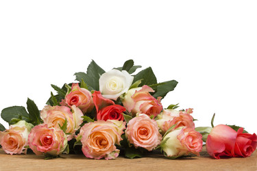 Similar image 762309