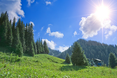 Similar image 762335