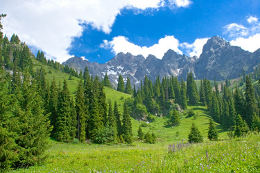 Similar image 762336