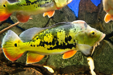 Similar image 762352