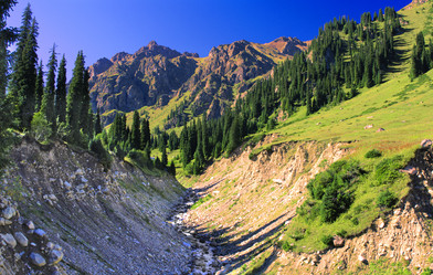 Similar image 762376