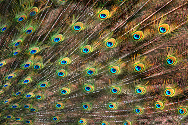 Similar image 762390