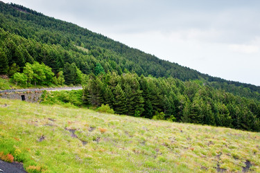 Similar image 762419