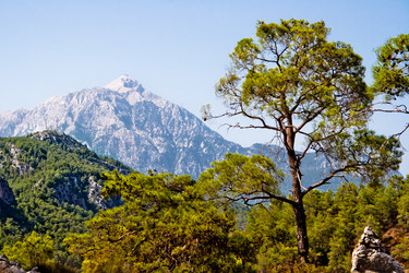 Similar image 762426