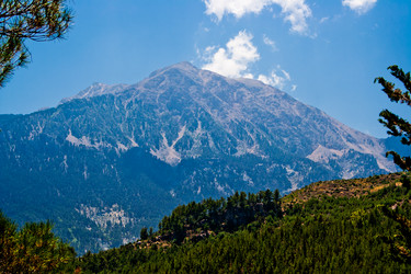 Similar image 762428