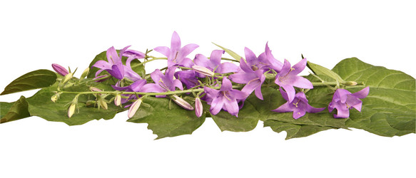 Similar image 762459