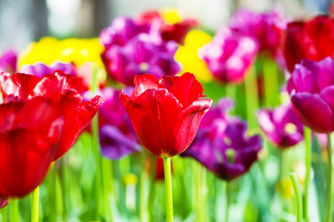 Similar image 762558