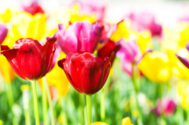 Similar image 762559