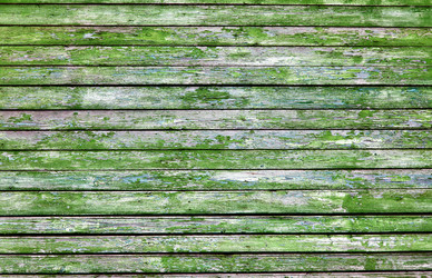 Similar image 762712