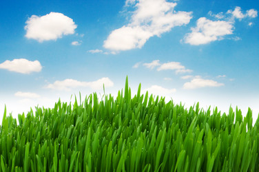 Similar image 762757