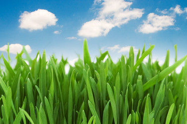 Similar image 762758