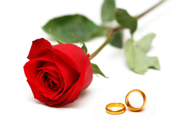 Similar image 762773