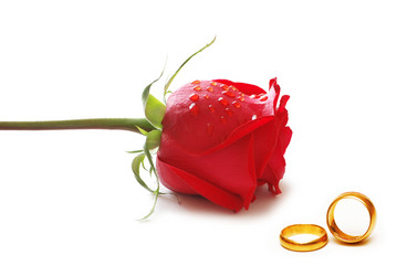 Similar image 762777