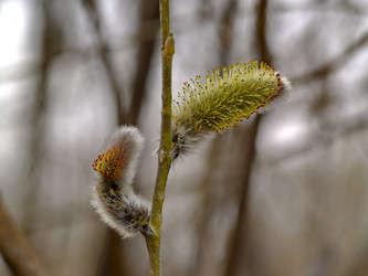 Similar image 762886