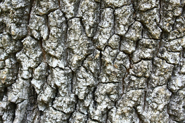 Similar image 762896