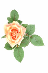 Similar image 762925