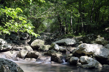 Similar image 762981