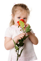 Similar image 763004