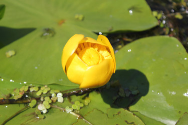 Similar image 763010