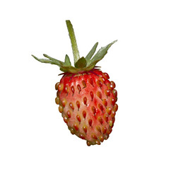 Similar image 763017