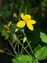 Similar image 763018