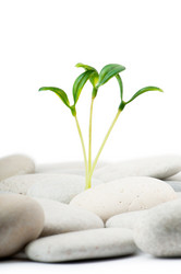 Similar image 763072