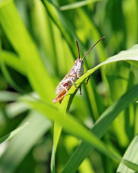 Similar image 763082