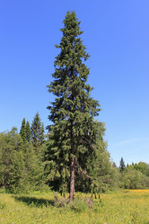 Similar image 763127