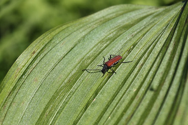 Similar image 763129