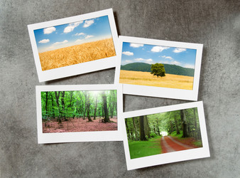 Similar image 763144