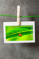 Similar image 763148