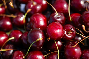 Similar image 763166