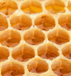 Similar image 763186