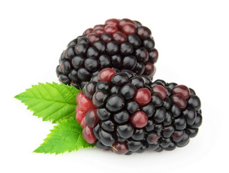 Similar image 763194