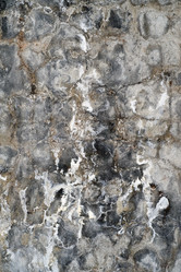 Similar image 763204