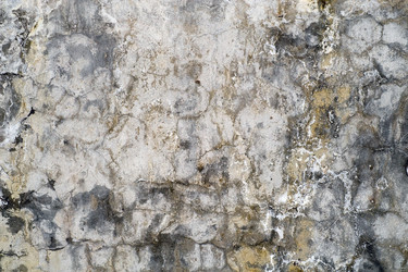 Similar image 763206