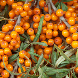 Similar image 763218