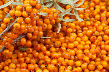 Similar image 763220