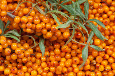 Similar image 763221