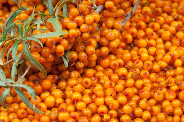 Similar image 763223