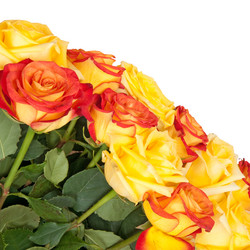 Similar image 763224