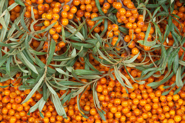 Similar image 763225