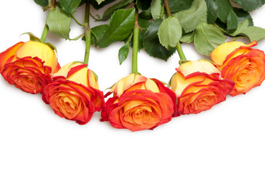 Similar image 763226