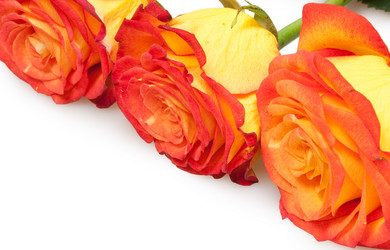 Similar image 763228