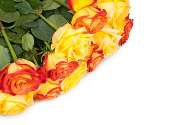 Similar image 763229