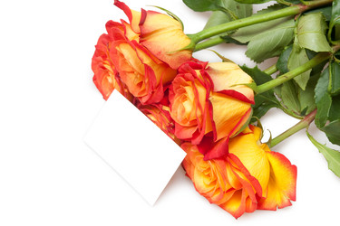 Similar image 763231