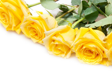 Similar image 763233