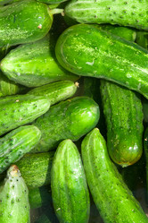 Similar image 763235