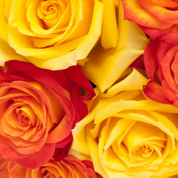 Similar image 763240