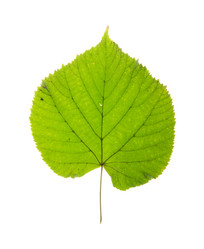 Similar image 763242